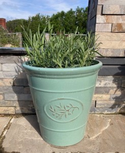 Hidcote Lavender Planter (Grey or Green) £24.95